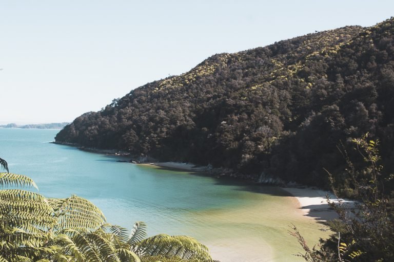 Abel Tasman National Park Neuseeland: Meine Tipps