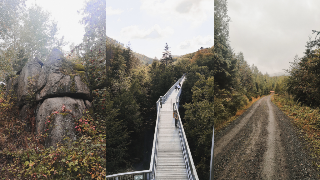 Die Top 10 Sehenswrdigkeiten In Harz 2021 Mit Fotos