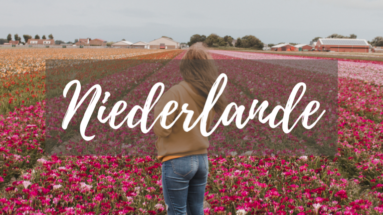 Der ultimative Niederlande Travelguide