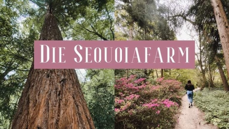 Sequoiafarm Kaldenkirchen - Sehenswürdigkeit am Niederrhein