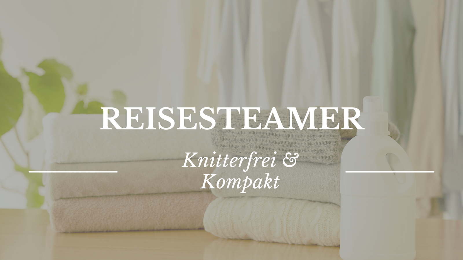 Beitragsbanner Reisesteamer