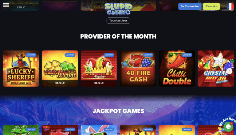 Stupid Casino Bewertung – Spieler Erfahrungen