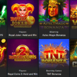 playmax casino